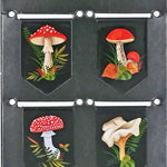 Mushroom IClips