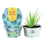 Aloe Plant Kit - Mini Galvanized Basin