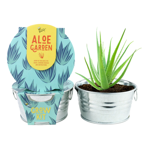 Aloe Plant Kit - Mini Galvanized Basin