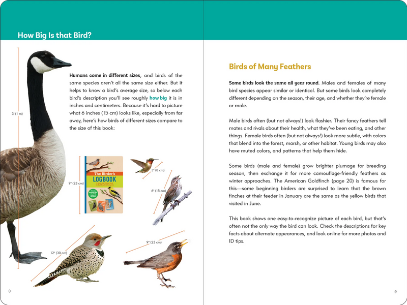 The Birders' Logbook: A Seek and Sticker Book for Budding Ornithologists