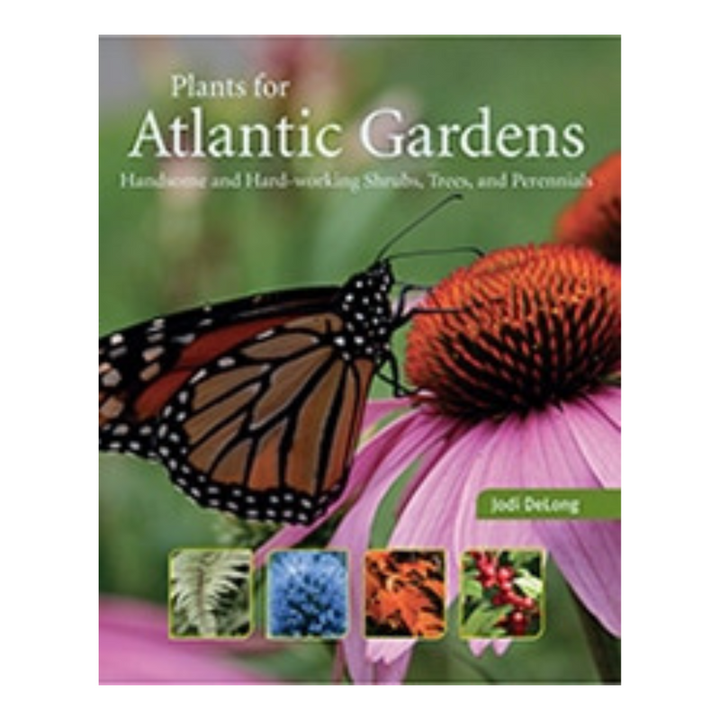 Plants for Atlantic Gardens Handsome and Hard-working Shrubs, Trees, and Perennials