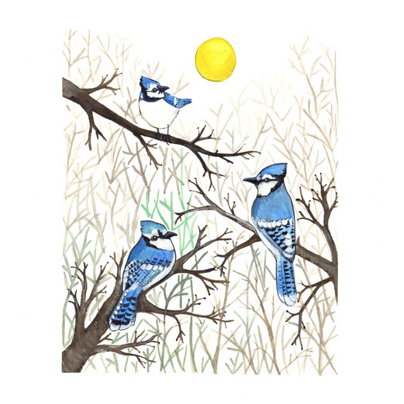Blue Jays in Forest Print