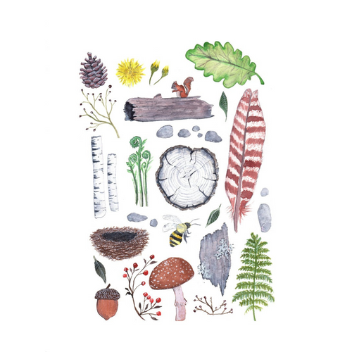 Ode to Nature print by Sarah Duggan. Watercolour painting. Made in Nova Scotia. Artwork features different forest elements like birch branches, fiddle heads, pine cones, mushrooms, feathers, a squirrel, acorns, bird nest, a bee, etc. 