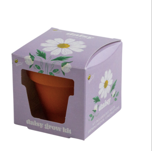 Mini Grow Pot - Daisy