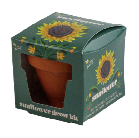 Mini Grow Pot - Sunflower
