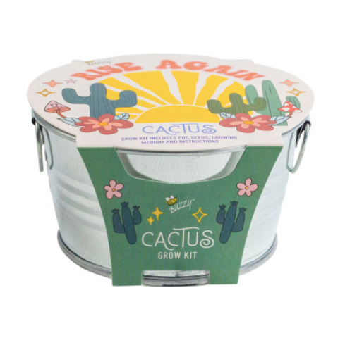 Cactus Plant Kit - Mini Galvanized Basin