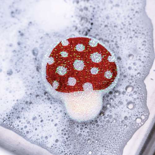Mushroom Scrub Sponges