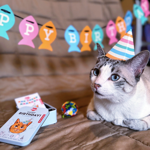 Kiko Cat Happy Birthday Kit