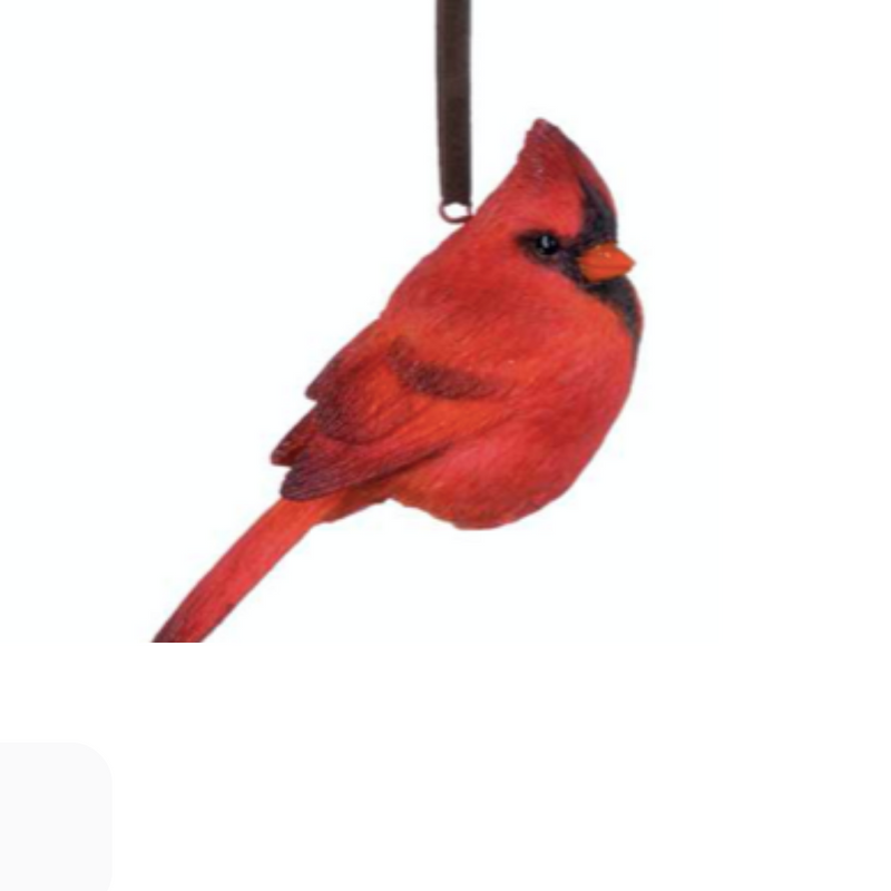 Songbird Ornaments (Assorted)