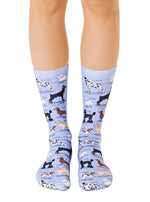 Cat and Dog Breed Socks