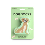 3D-Packaged Dog Socks