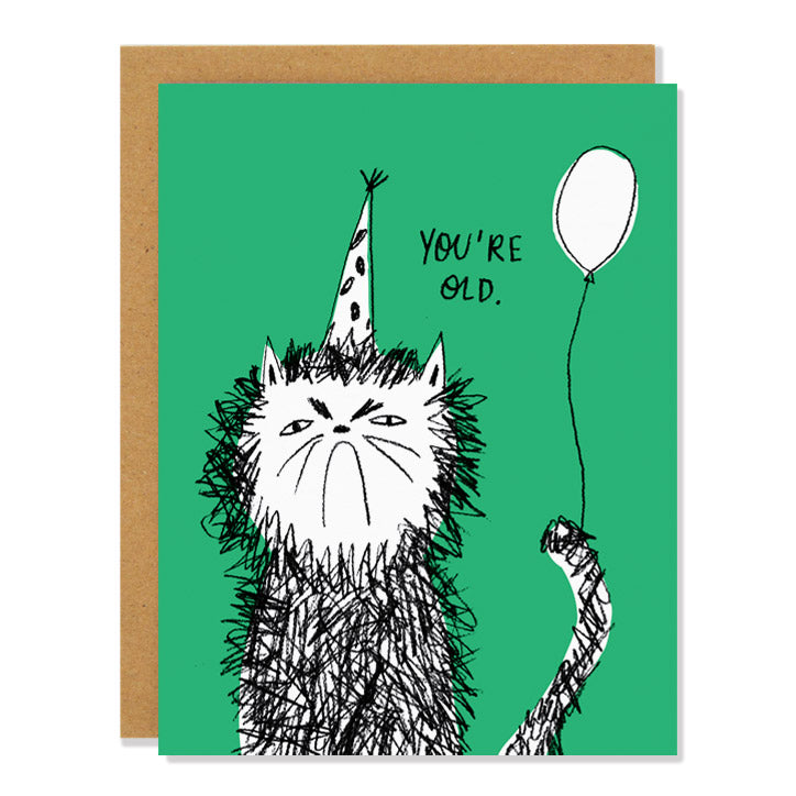 Snitty Kitty Birthday Card