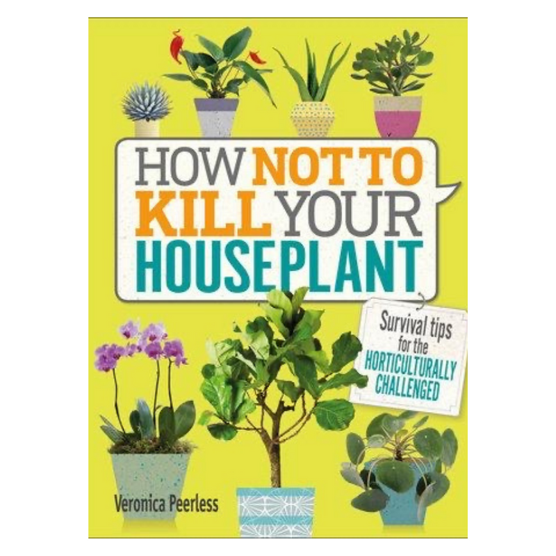 How Not To Kill Your Houseplants